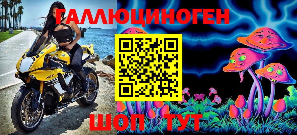 Псилоцибиновые грибы мицелий Владивосток