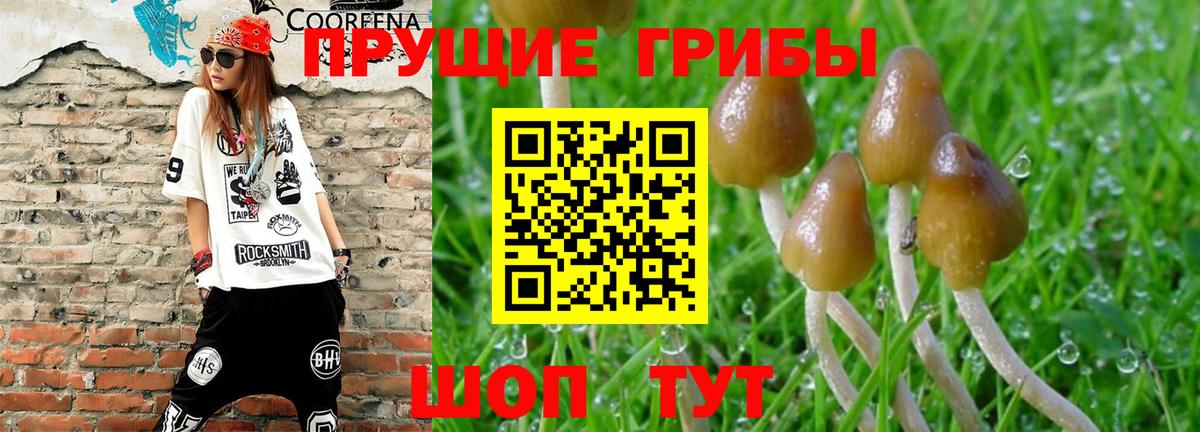 Владивосток  Псилоцибиновые грибы Psilocybe  Псилоцибиновые грибы мухоморы  хочу   Вход с VPN 